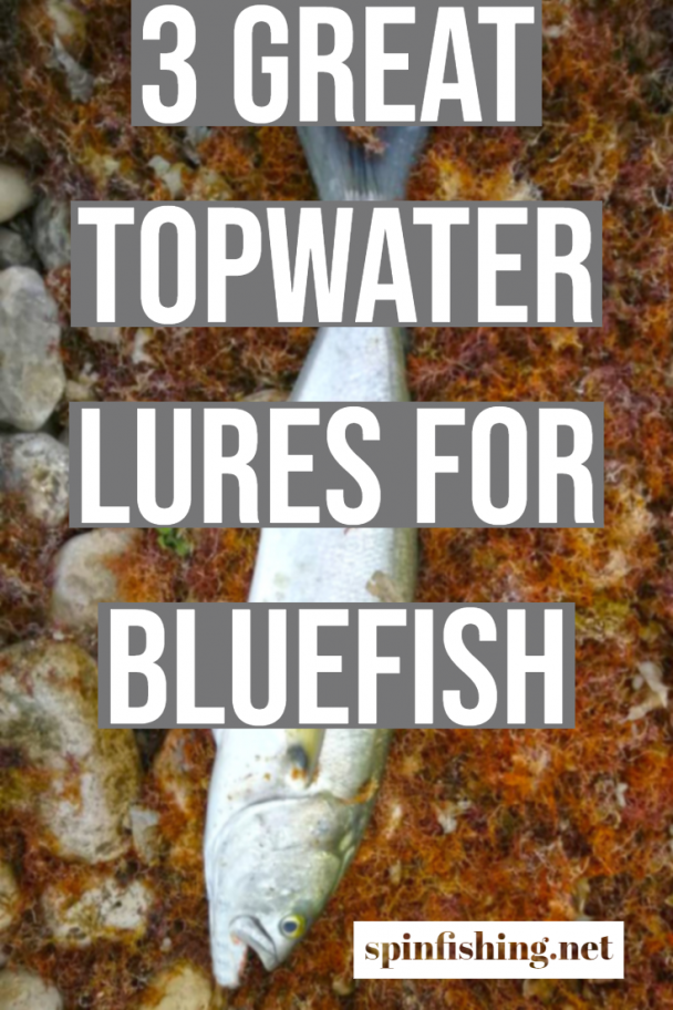 best lures for bluefish